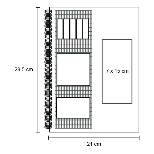  COLOREX5