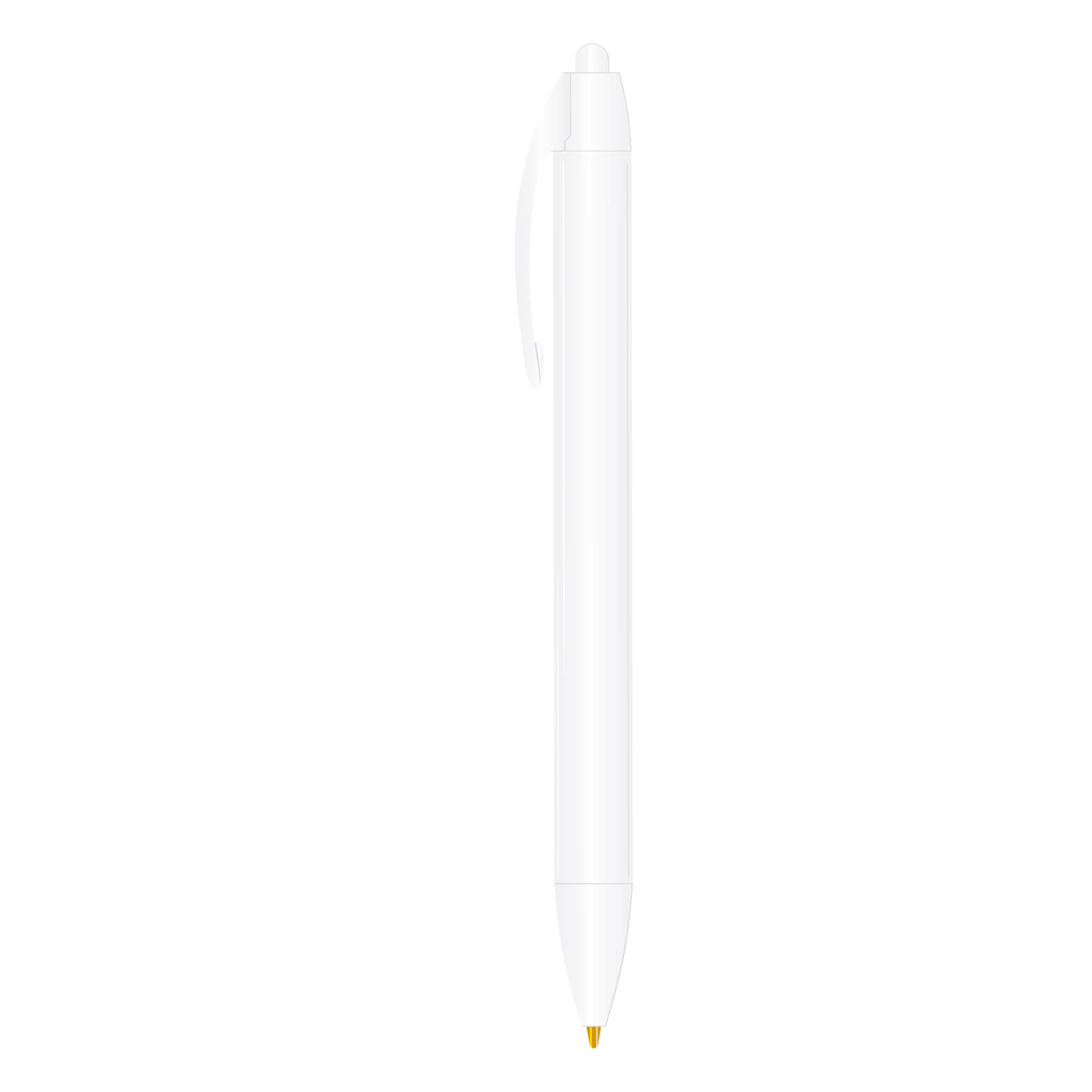  BIC4