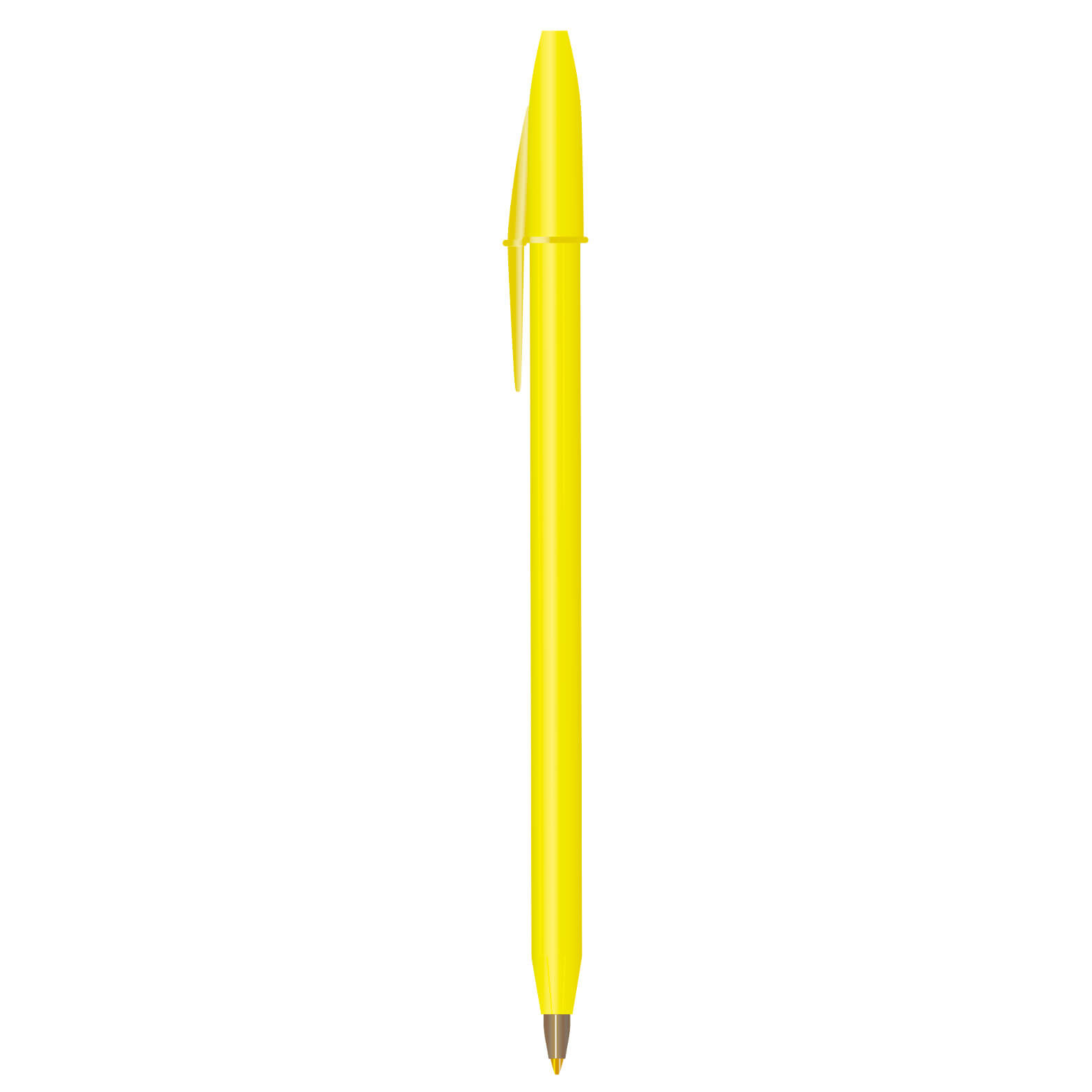  BIC11