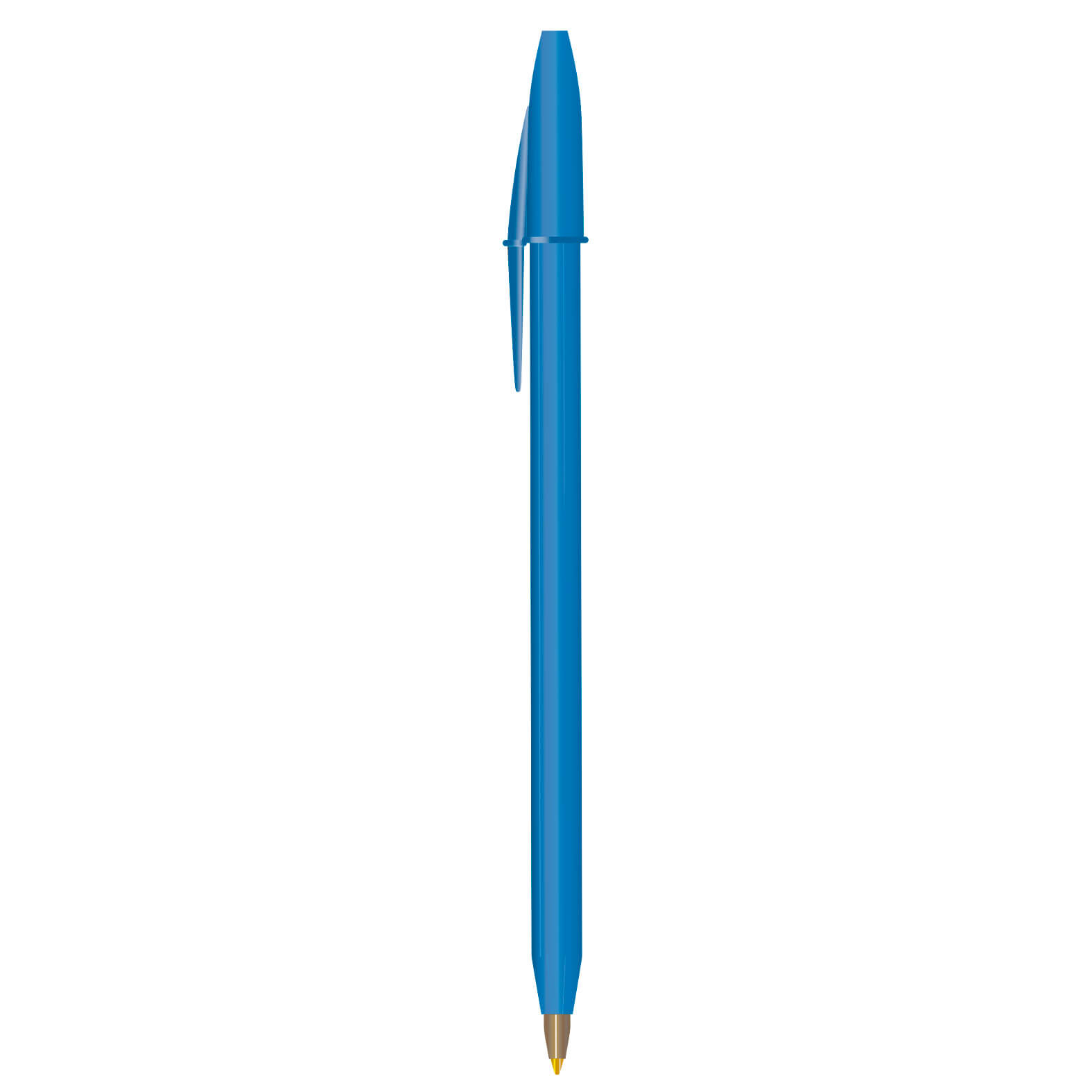  BIC10