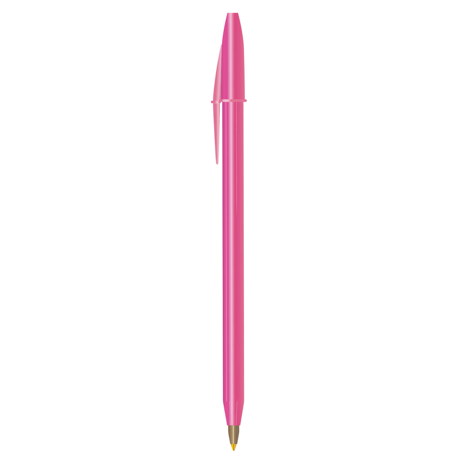  BIC3