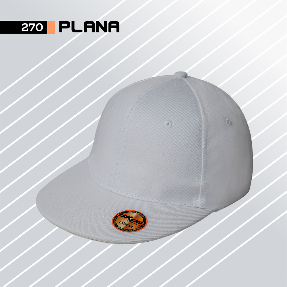  Gorra Plana2