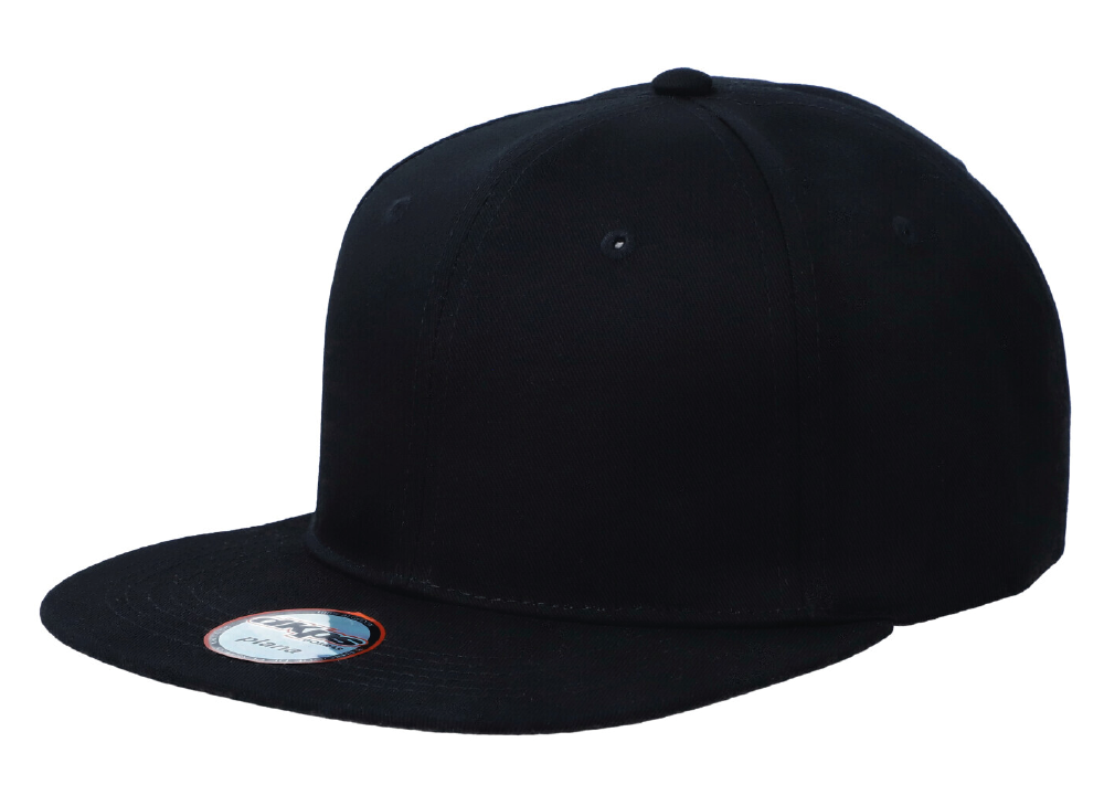  #270 GORRA PLANA6