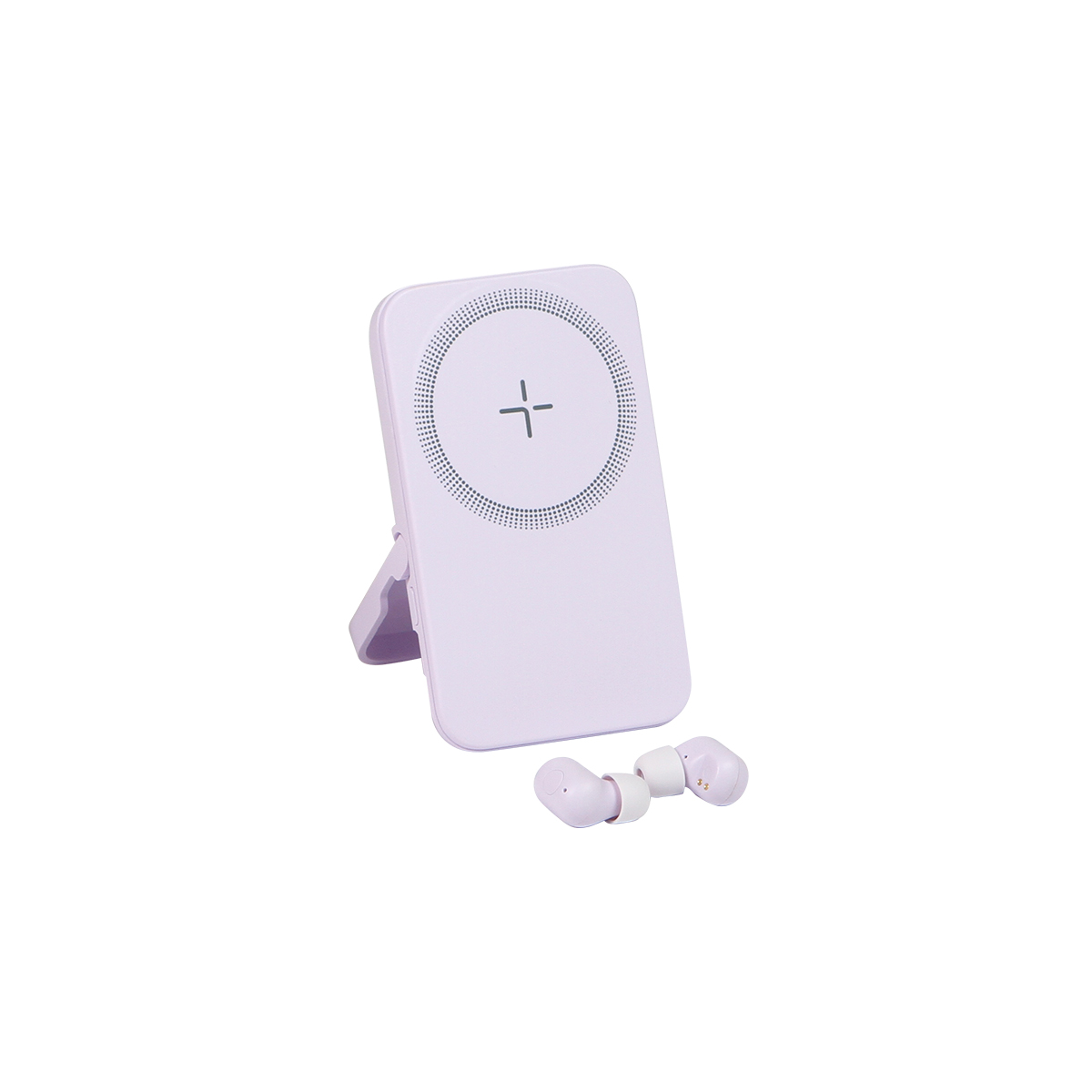  Power Bank Renard3